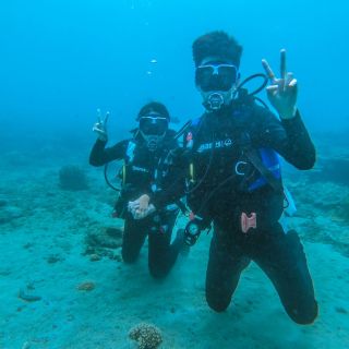 ALL_diving_25A05_lPBHahfTQE